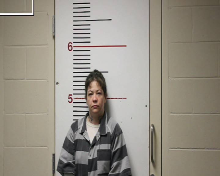 HARVEY, KAREN booking photo