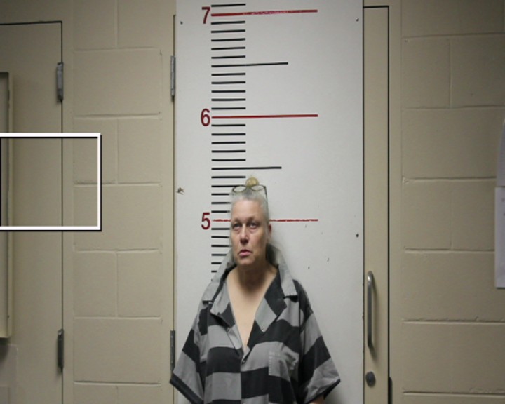 WOOD, BRENDA LYNN booking photo