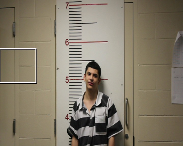 SIMIEN, DAIMEAN JON booking photo