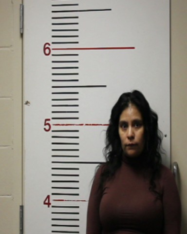 SIERRA, JENNIFER ANN booking photo