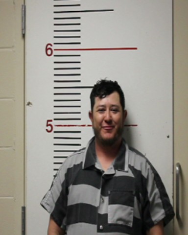 LEANOS, RICHARDO booking photo