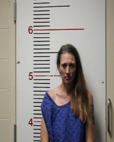 POWELL, VALERIE RENEE booking photo