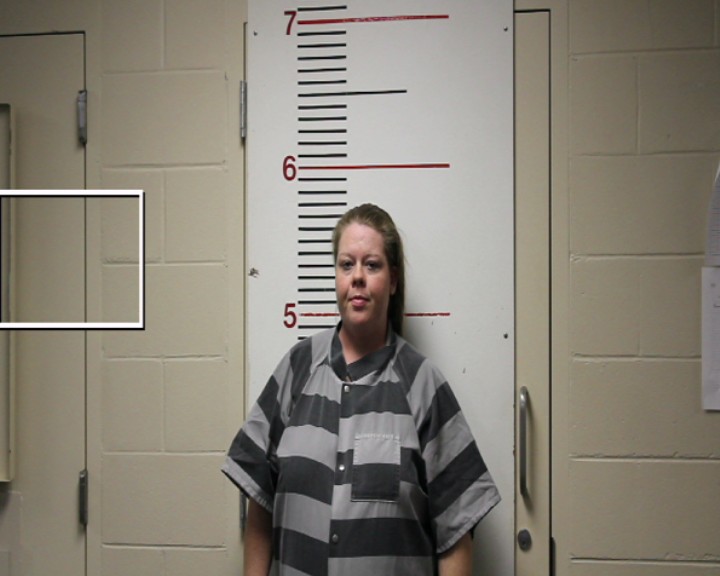 DUNN, ANGELA RENEE booking photo