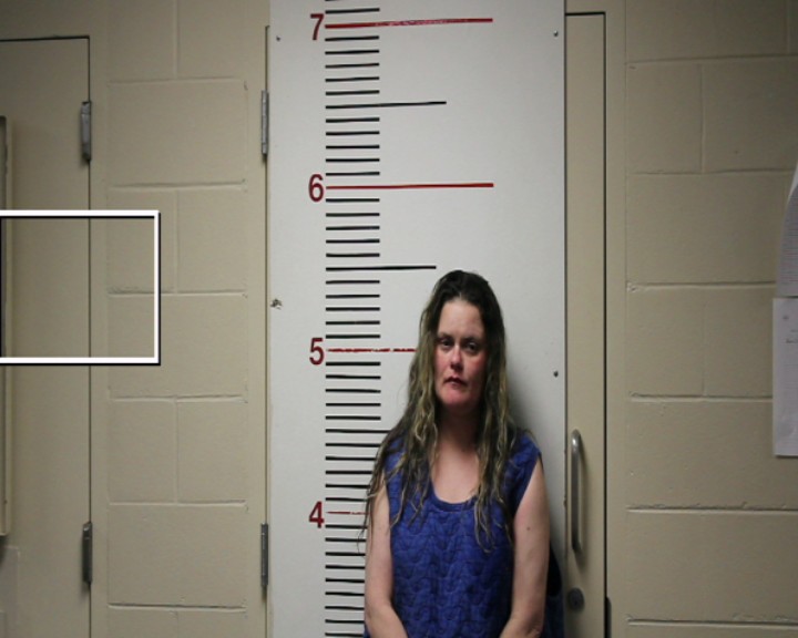 WILLARD, CRYSTAL BROOKE booking photo