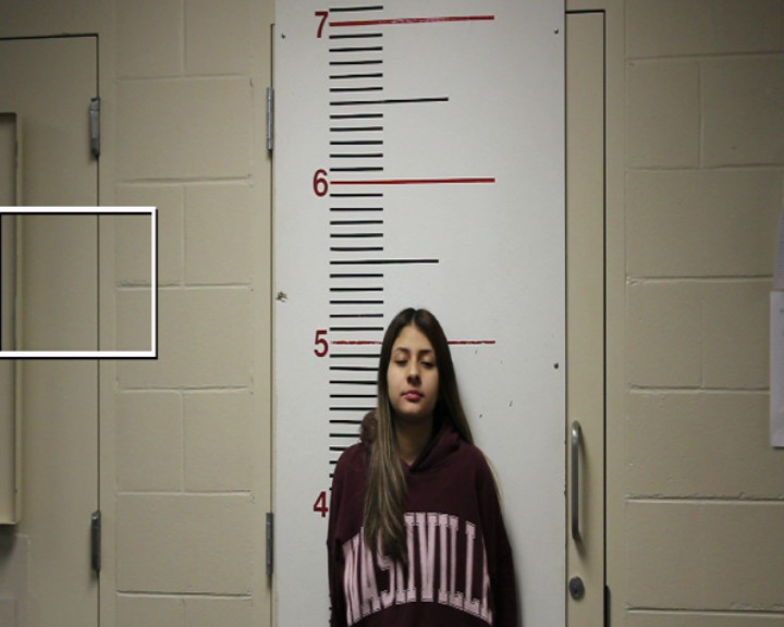 VEGA, PRUSILA MARIE booking photo