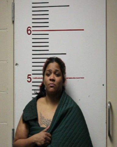 MORALES, VIRJINIA SANCHEZ booking photo