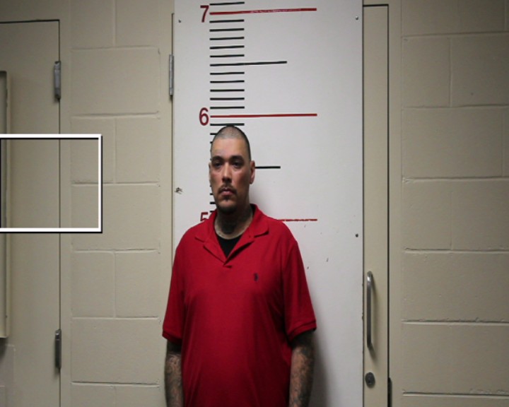 SILVA, AARON JOHN booking photo