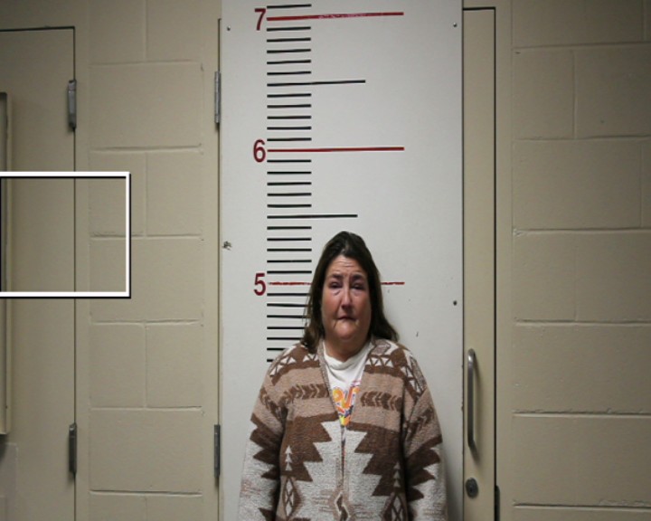 HENSON, SHELLY DAWN booking photo