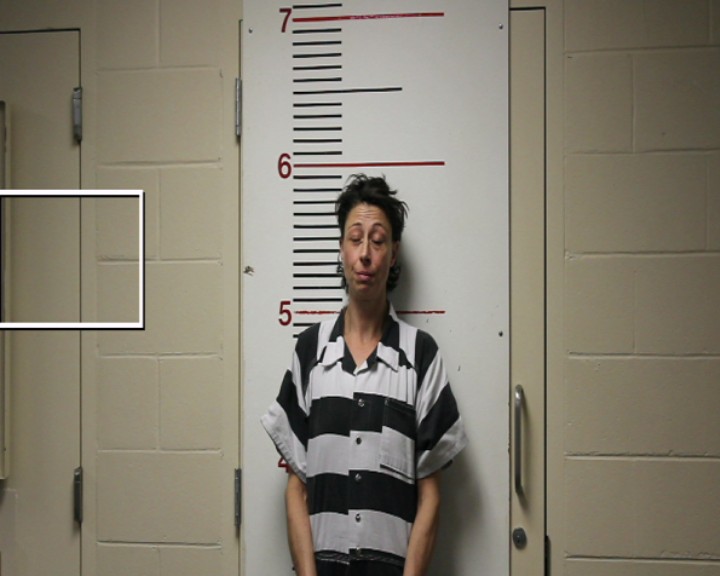 PALMER, EMMILY ESTHER booking photo