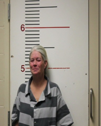 GABLER, TRACY LYNN booking photo