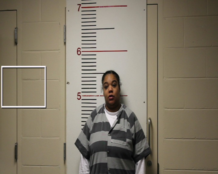 WILSON, LAMISHA MARSHELL booking photo
