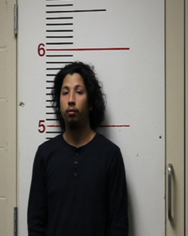ALFARO, JORGE ALBERTO booking photo