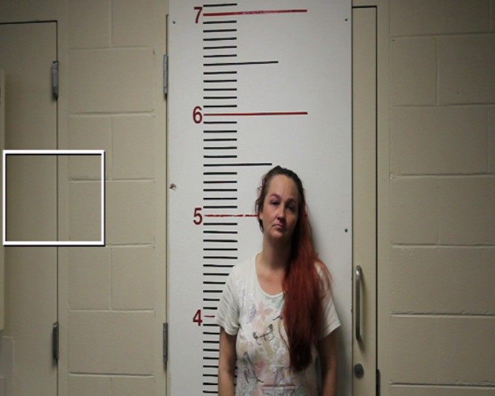 ALSTON, JESSICA RENEE booking photo
