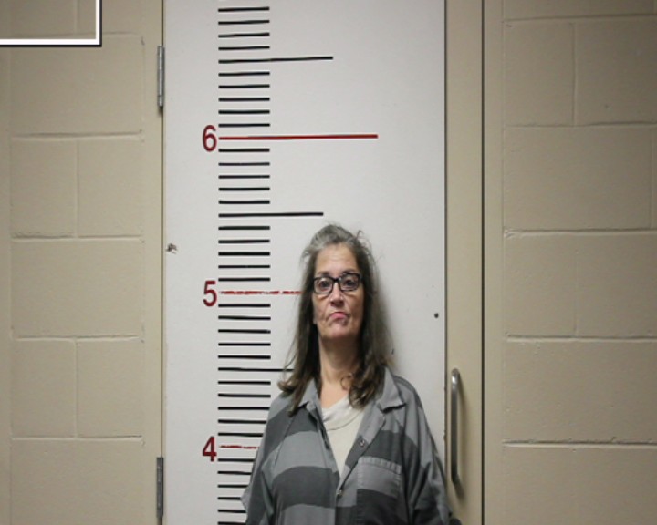MINTER, JUDY COSHANNA booking photo