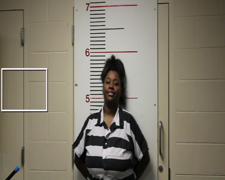HOLDER, KADAYSIA D booking photo