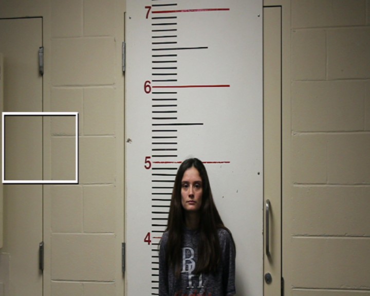 FULLER, ZABELLA ISABEL MEDEL booking photo