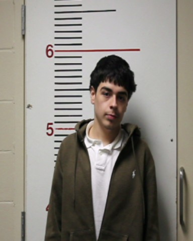 RUIZ, DAGOBERTO SALINAS booking photo