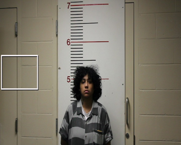 LAWSON, SHABANA LASHELLE booking photo