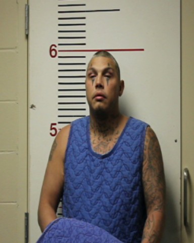 VEGA, JUAN MANUEL booking photo