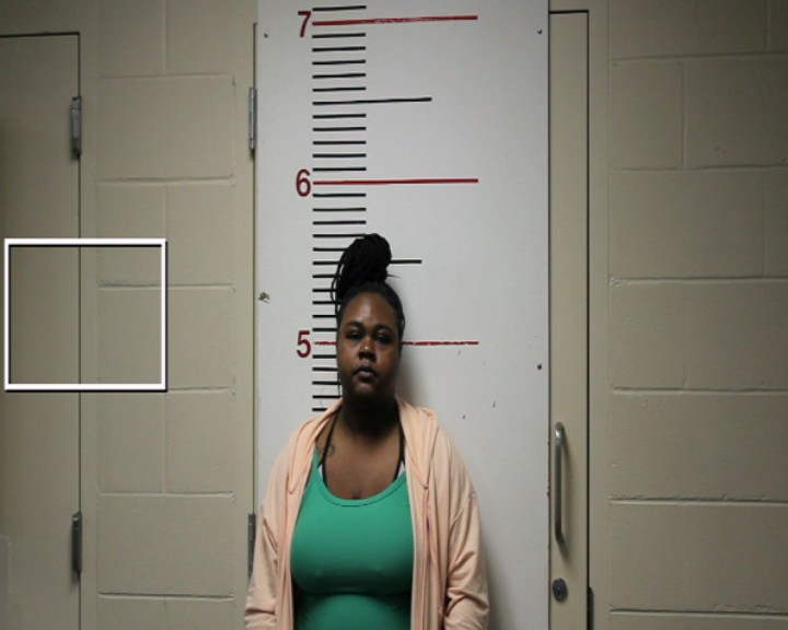 THOMPSON, ALEXANDRIA NICOLE arrested by Anderson County SO/PD