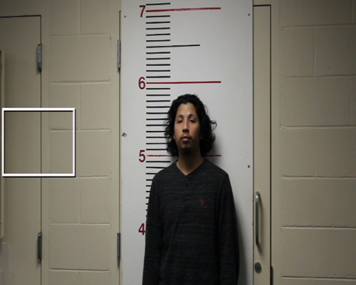 ALFARO, JORGE ALBERTO arrested by Anderson County SO/PD