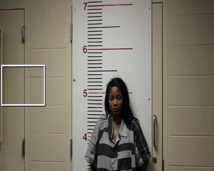 LINO, VIERGELIE booking photo