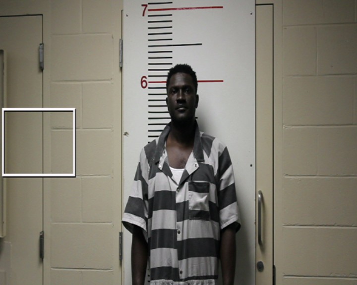 NELSON, MARKENSON booking photo