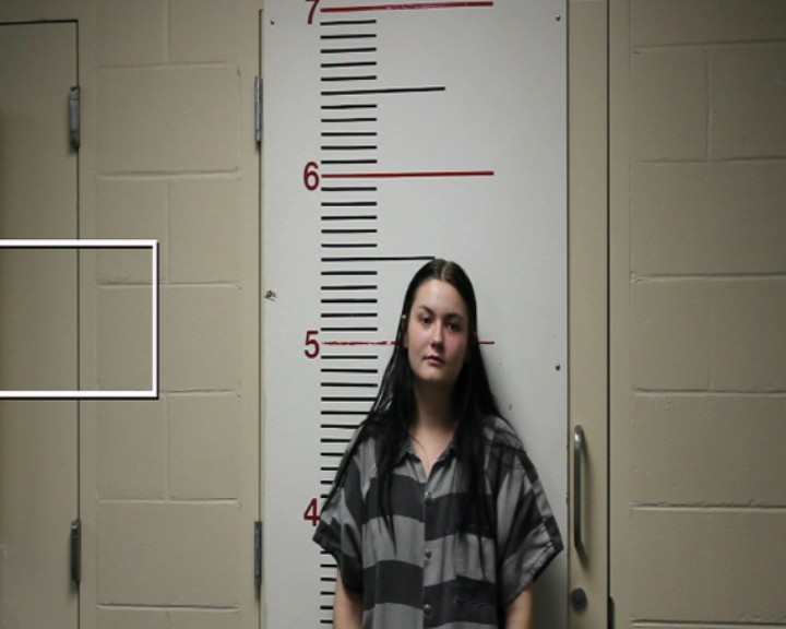 POLLARD, TANNA LEE booking photo
