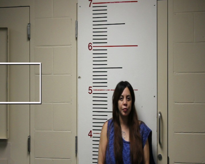 GONZALES, MARY booking photo