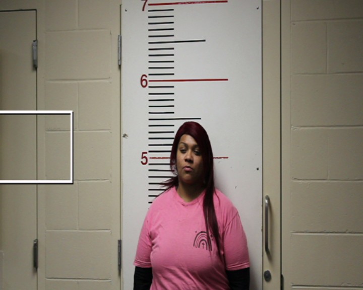 MORALES, VIRJINIA SANCHEZ booking photo