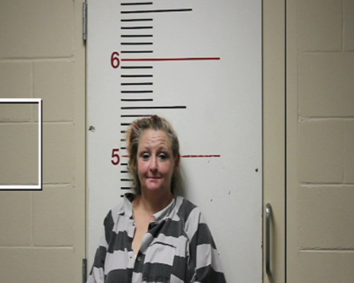 JOHNSTON, CATHERINE ANN booking photo