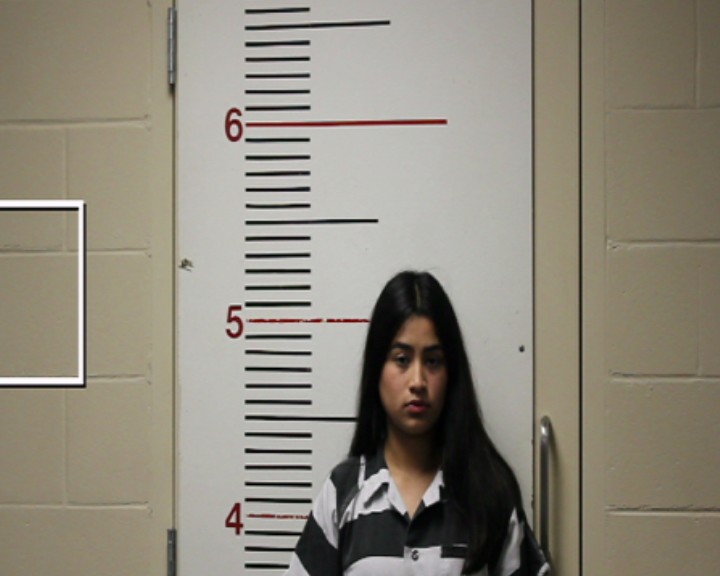 BELTRAN, MELANIE arrested by Anderson County SO/PD