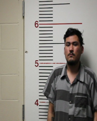 ADAME, MOSES ESTEVEN booking photo