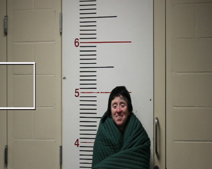 SANCHEZ, BRITTANEY DANAE booking photo