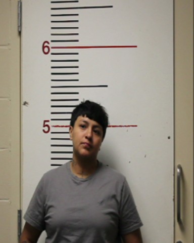 MOSQUEDA, ELISA CARMEL booking photo