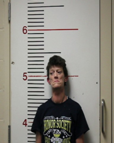 GIBSON, DORA NICOLE booking photo