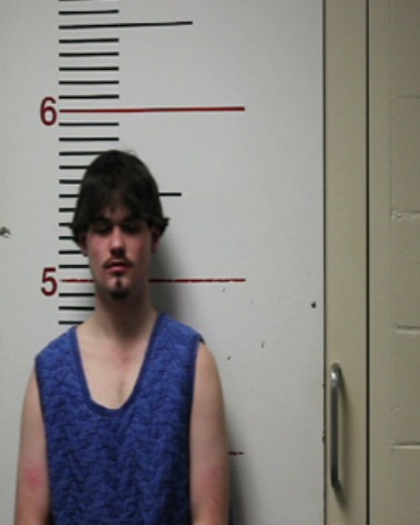 COLLIER, CODY TRACE booking photo