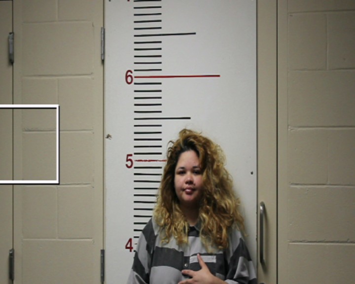 SILVA, STEPHANIE RAQUEL booking photo