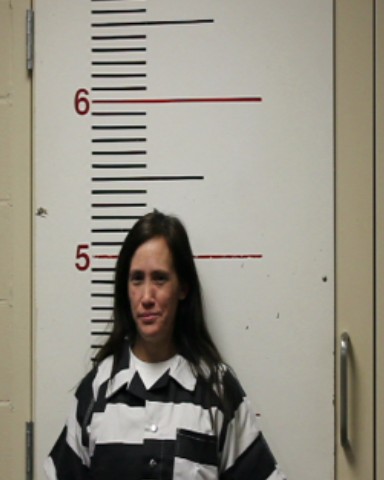 BRIERY, HEATHER LEANN booking photo