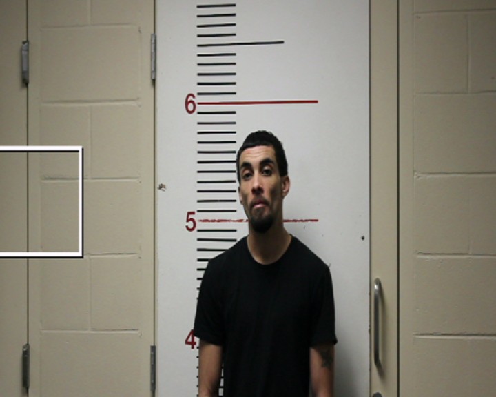 SINGLETON, JUSTIN PARKS booking photo