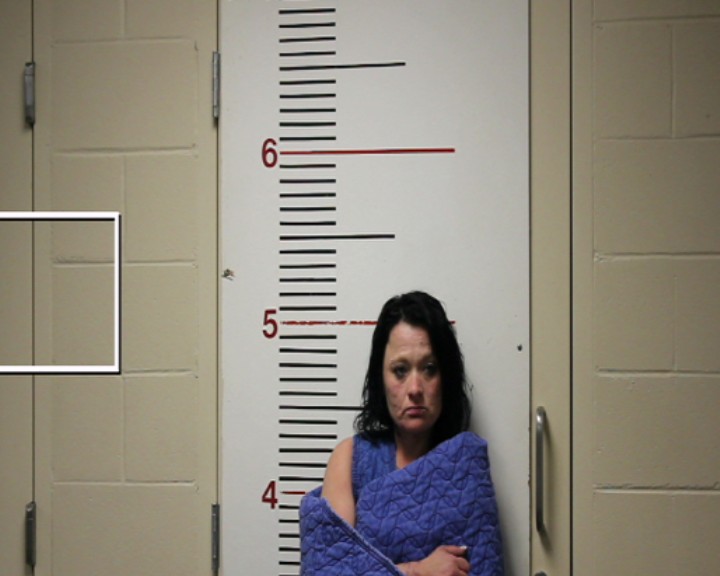 METTLEN, ANGELA MICHELLE booking photo