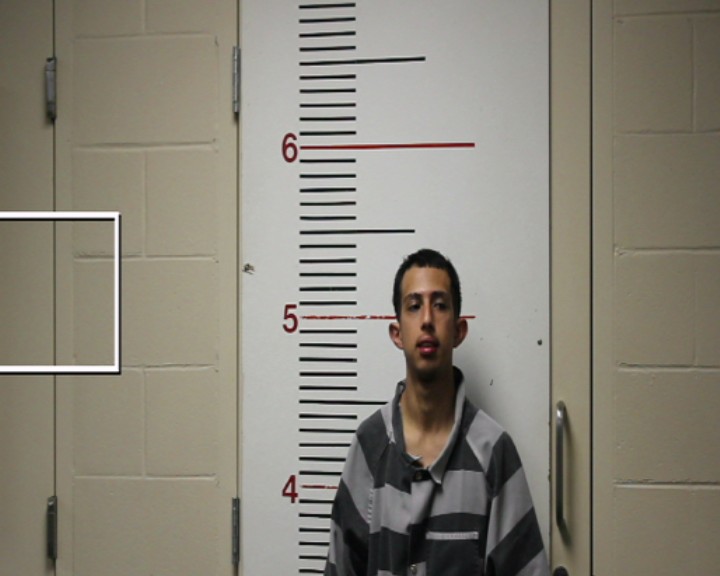 MARTINEZ-CARMONA, LEONARDO DANIEL booking photo