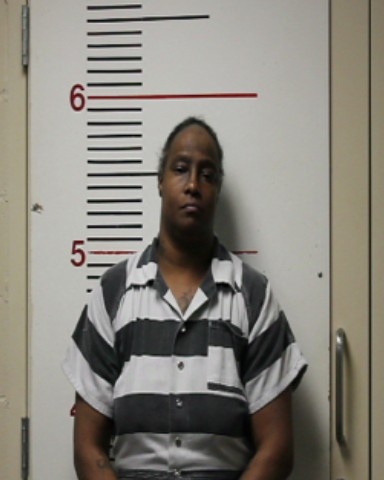 GREEN, TRICIA LYNN booking photo