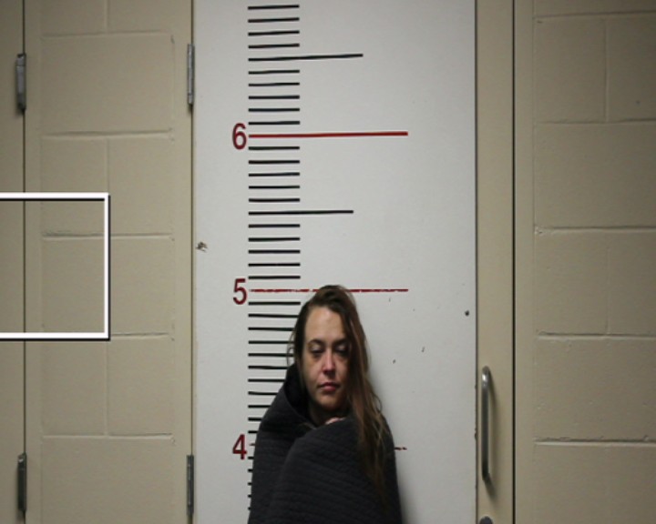 ARNOLD, KELLY ANN booking photo