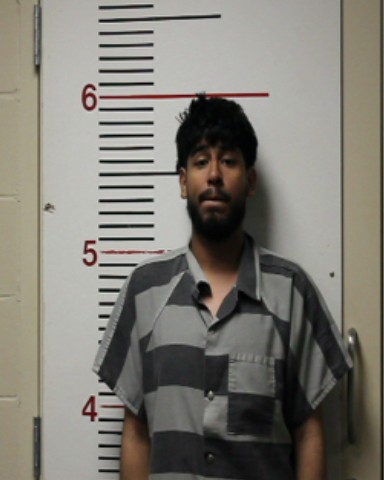 COLIN, LELAND booking photo