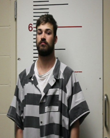 HENRY, AUSTIN booking photo