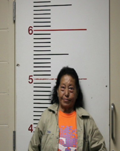 VILLALOBOS, MARIA CONSUELO booking photo