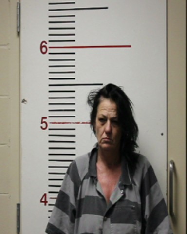 NORWOOD, MICHELE GLADIS booking photo