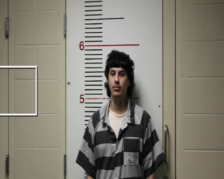 SALINAS, DAMIAN OMAR booking photo