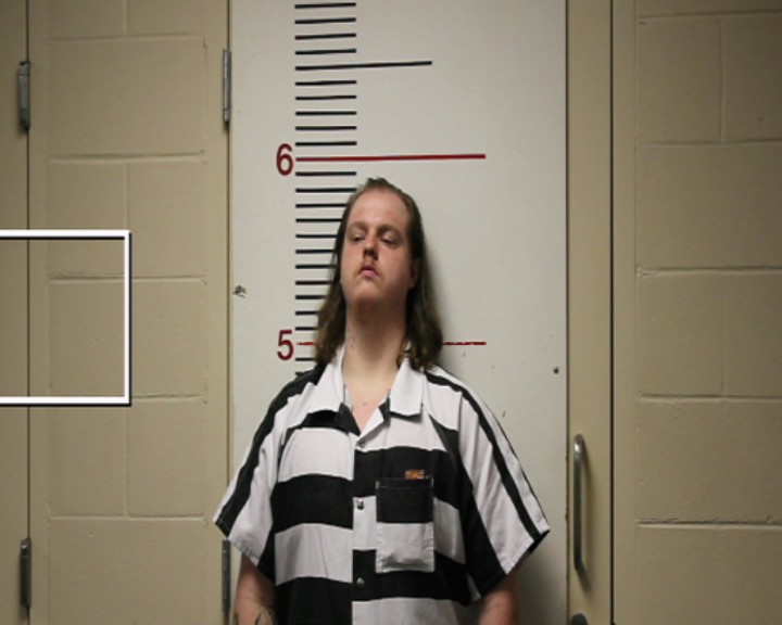 WALLACE, SETH DAVID booking photo